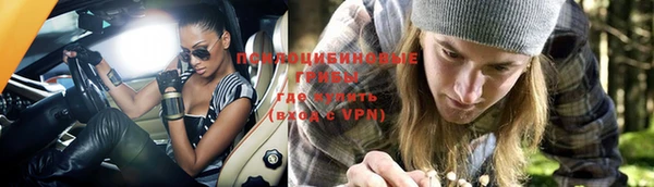 стафф Верея