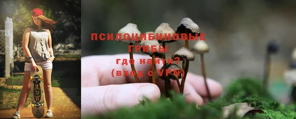 стафф Верея