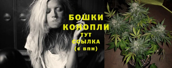 стафф Верея