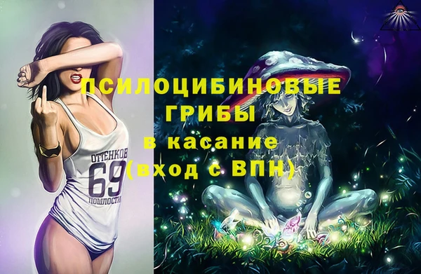 стафф Верея